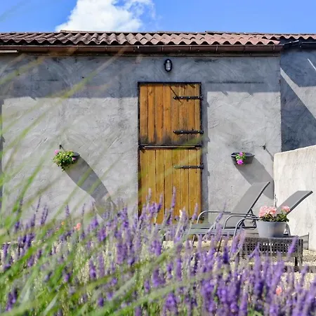 Vakantieverblijf Alfzotmolen Prázdninový dům