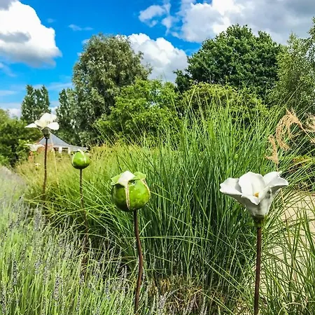 Vakantieverblijf Alfzotmolen *